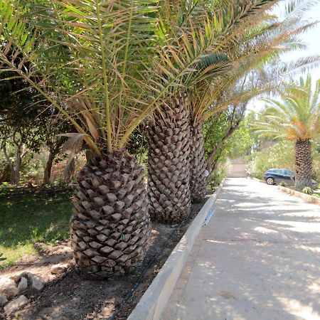 Villa Delle Terrazze بونتا سيكا المظهر الخارجي الصورة